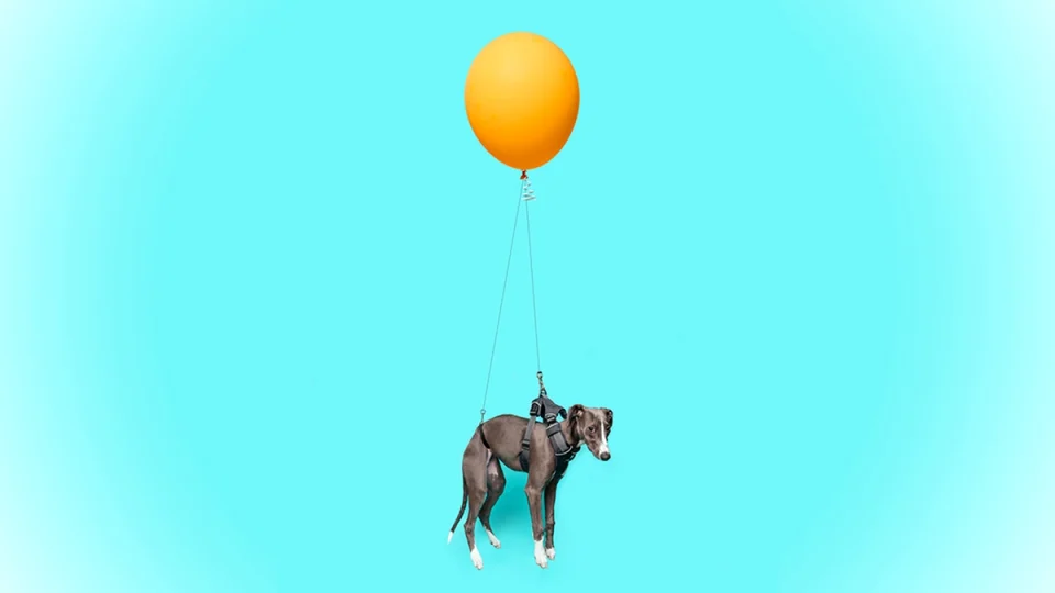 Lead illustration for article, showing a dog harnessed to a floating balloon as a metaphor for the article's subject matter.